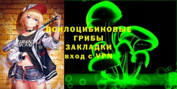 apvp Кукмор
