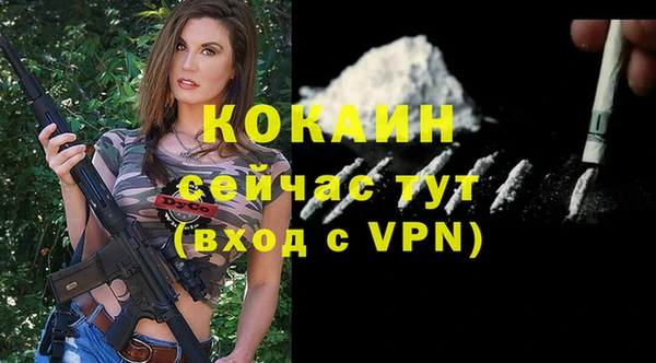 apvp Кукмор
