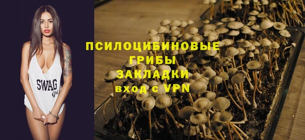 apvp Кукмор