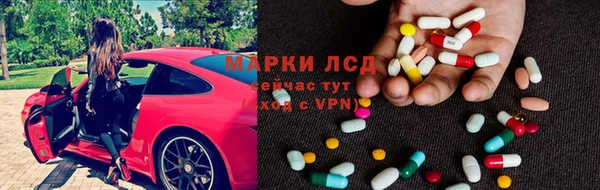 apvp Кукмор