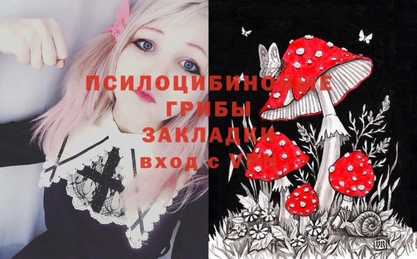 apvp Кукмор